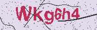 Ungültiger Sicherheitscode